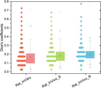 Transcriptional Responses Reveal Similarities Between Preclinical Rat Liver Testing Systems